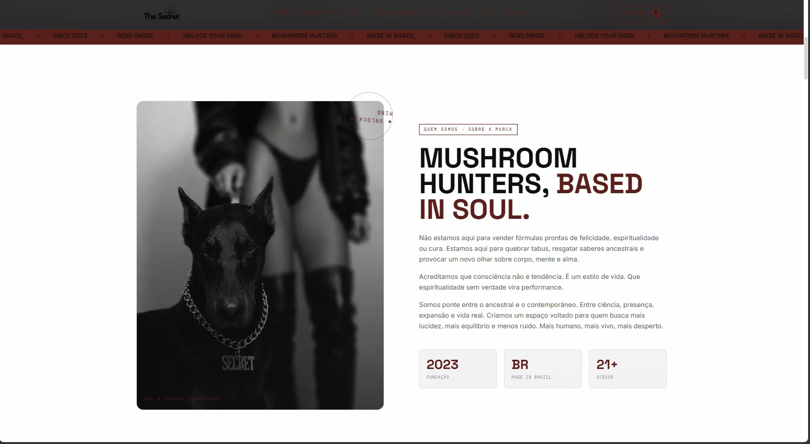 O Segredo Fungi — screen 3