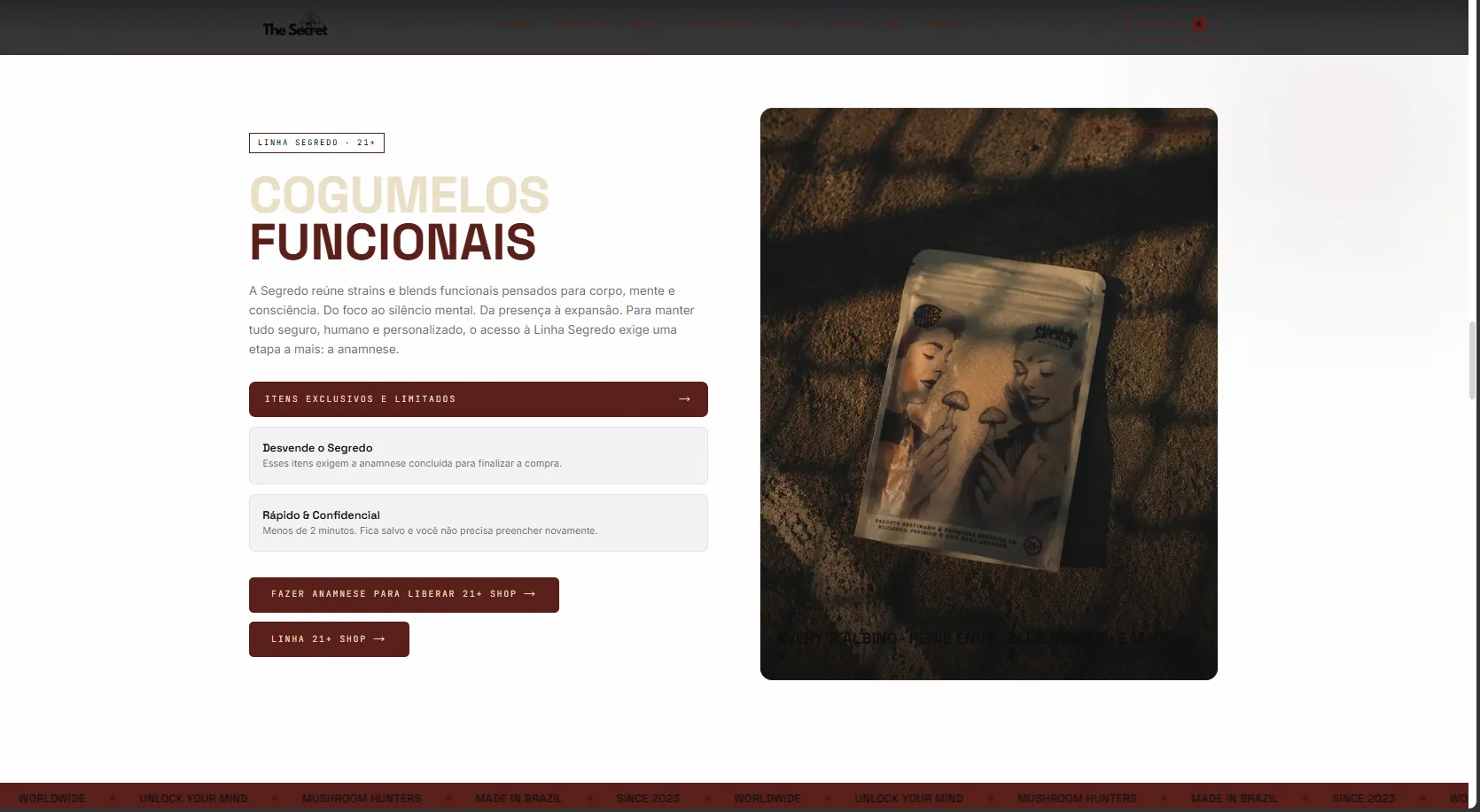 O Segredo Fungi — screen 6